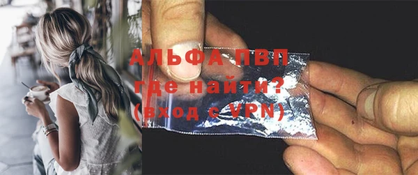гашик Ладушкин
