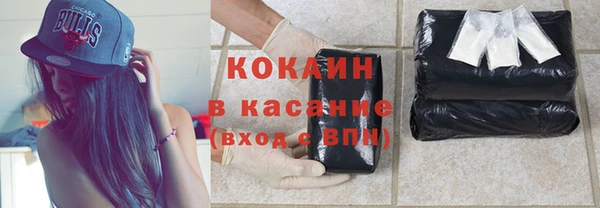 гашик Ладушкин