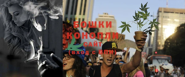 гашик Ладушкин