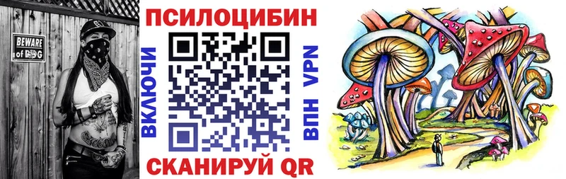 купить наркоту Камень-на-Оби Галлюциногенные грибы мицелий